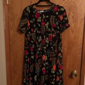 LulaRoe Carly dress Size S
